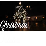 christmas-tree-jubilee